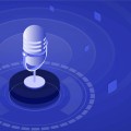 How can i ensure that my website is optimized for voice search when working with an ecommerce seo consultant?